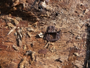 tbc-livingston-jlc_page_03_image_0002