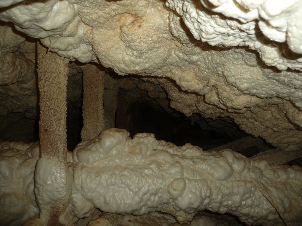 tbc-livingston-jlc_page_04_image_0001