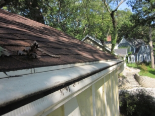 mary-ghrist-james-tbc-report_sm_page_23_image_0002