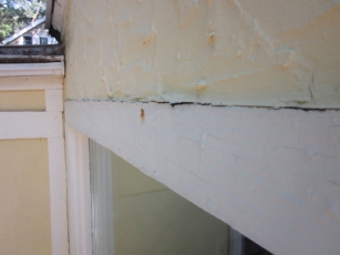 mary-ghrist-james-tbc-report_sm_page_44_image_0001