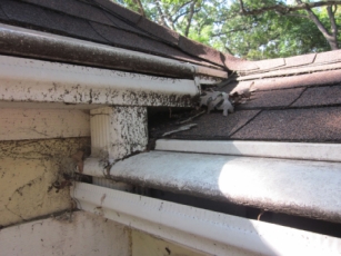 mary-ghrist-james-tbc-report_sm_page_57_image_0001