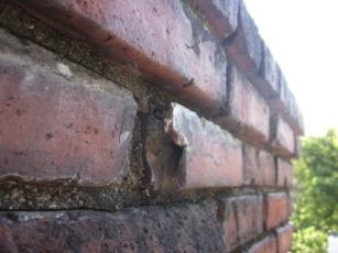 mary-ghrist-james-tbc-report_sm_page_63_image_0001