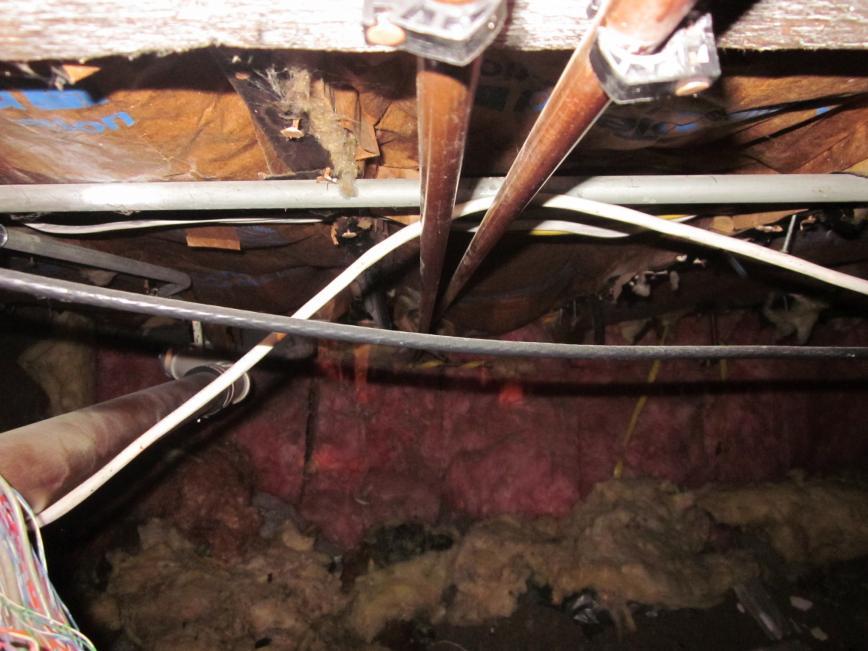 mary-ghrist-james-tbc-report_sm_page_70_image_0001