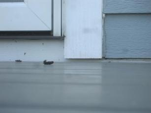 rowleytbc-final_sm_page_21_image_0001