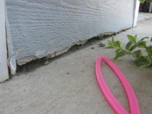 rowleytbc-final_sm_page_24_image_0001