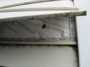 villlas-of-berkshire-hills_sm-complete_page_18_image_0004